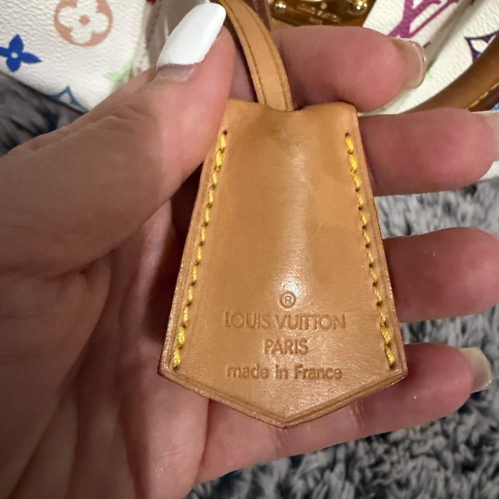 Louis Vuitton Multicolor Speedy 30 - Picture 9 of 17